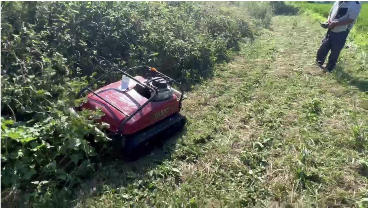 ラジコン草刈機による作業風景